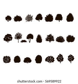  set of Trees and bushes silhouette  isolated on white backgorund. dendrology collection. graphic template. vector illustration.