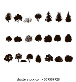  set of Trees and bushes silhouette  isolated on white backgorund. dendrology collection. graphic template. vector illustration.