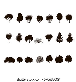  set of Trees and bushes silhouette  isolated on white backgorund. dendrology collection. graphic template. vector illustration.