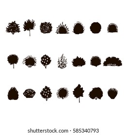  set of Trees and bushes silhouette  isolated on white backgorund. dendrology collection. graphic template. vector illustration.