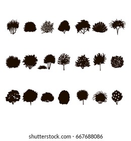 set of Trees and bushes silhouette isolated on white backgorund. dendrology collection. graphic template. vector illustration.