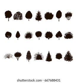 set of Trees and bushes silhouette isolated on white backgorund. dendrology collection. graphic template. vector illustration.