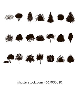 set of Trees and bushes silhouette isolated on white background. dendrology collection, graphic template. 