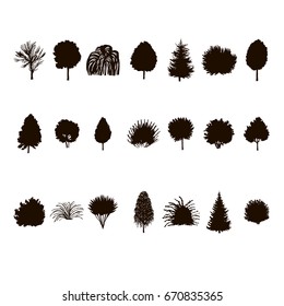 set of Trees and bushes silhouette isolated on white backgorund. dendrology collection. graphic template. vector illustration.