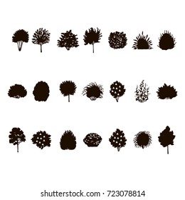 set of Trees and bushes silhouette isolated on white backgorund. dendrology collection. graphic template. vector illustration.