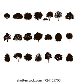 Set Of Trees And Bushes Silhouette Isolated On White Backgorund. Dendrology Collection. Graphic Template. Vector Illustration.