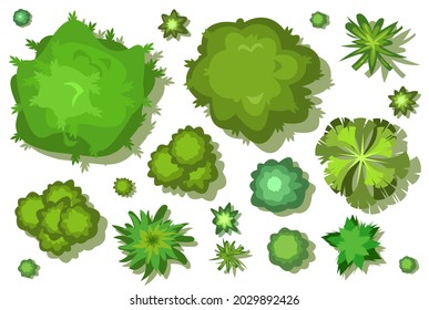 Un conjunto de árboles y arbustos. Vista desde arriba. Altura. Paisaje vegetal. Vida salvaje verde. Vista superior. Ilustración al estilo de las caricaturas. Vector aislado