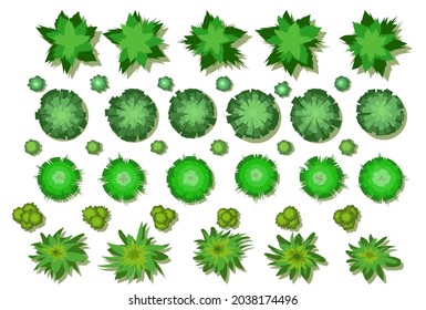 A set of trees and bushes. View from above. Height. Plant landscape. Green wildlife. Top view. Illustration in cartoon style. Isolated Vector.