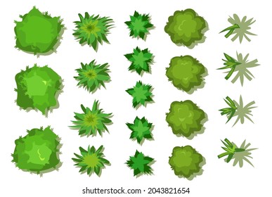 A set of trees and bushes. View from above. Height. Plant landscape. Green wildlife. Top view. Illustration in cartoon style. Isolated Vector.