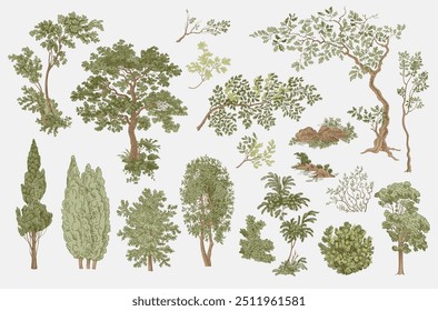 Conjunto de árvores e arbustos. Woodland. Elementos de paisagem. Ilustração do vetor vintage. NÃO gerado AI