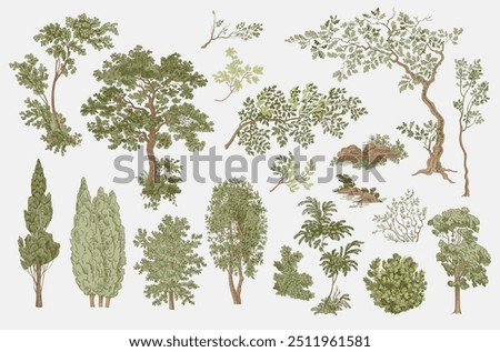 Set of trees and bushes. Woodland. Landscape elements. Vector vintage illustration. NOT AI generated