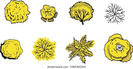 Set of trees.  Cluster of plant. landscape and front view. Hand drawn modern illustration. Isolated design element. Poster, print template.