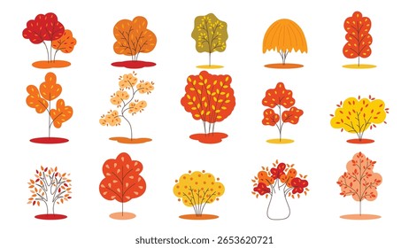 Set trees with colorful autumn leaves. Collection of different forest trees with yellowed leaves of red, orange, yellow, brown colors. Autumn cozy mood. Fall trees with color foliage, vector element