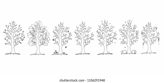 set of trees in different seasons, hand-drawn vector illustration