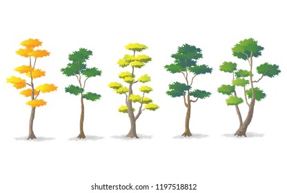 Set of Trees Diversity, Vector Illustration.