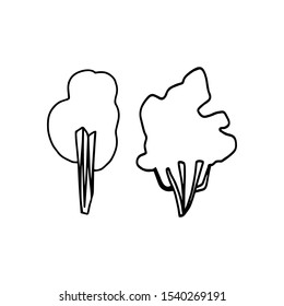 Set trees. Doodle vector illustration isolated on white background. Outline hand drawn element forest. Desing print cut, coloring book, t shirt. 