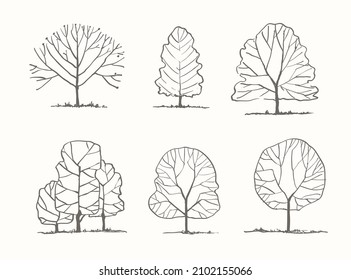 Set of trees drawn in line art style. Vector outline trees