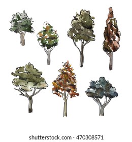 Set of the trees drawn with a water color. Water color surroundings on a white background.Vector illustration. Isolated.
