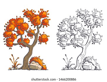 Set of trees with foliage. Vector graphics isolated on white background.