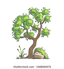 Set of trees with foliage. Vector graphics isolated on white background.