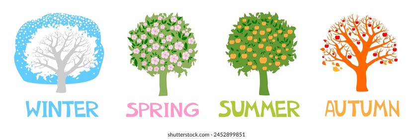 A set of trees in four seasons.  Four seasons - spring, summer, autumn, winter. Apple and the season isolated on white. Art tree beautiful for your design. Seasons of tree. Four seasons trees. Vector