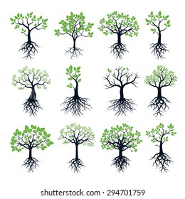 Set of Trees, Green Leafs and Roots
