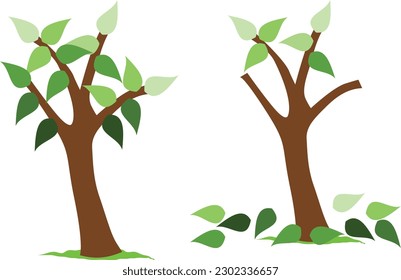 Baumbestand mit grünen Blättern einzeln auf weißem Hintergrund. Vektorgrafik.