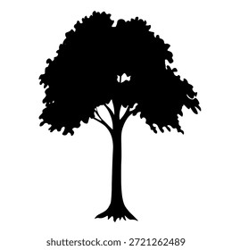Conjunto de árboles. Iconos aislados en blanco y negro sobre fondo blanco. Árbol de primavera para su diseño. Signo de símbolo de Vector. Plantas, diseño de paisajes. Concepto de idea ecológica.