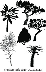set trees isolated on white background