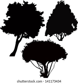 set trees isolated on white background