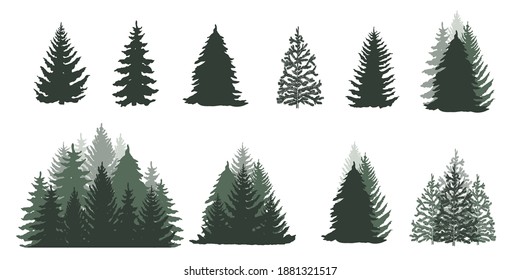 Set of trees isolated on white. Forest. Vector illustration.