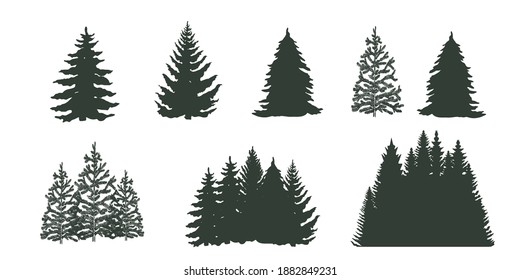 Set of trees isolated on white. Forest. Vector illustration.