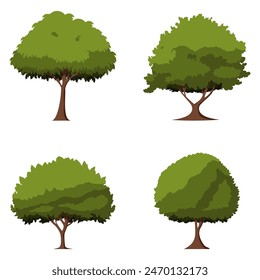 Set of trees isolated on a white background. Each species of tree. A tree with green leaves. Vector illustration flat design style