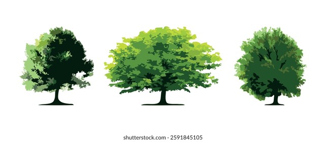 Set of trees isolated on white background
