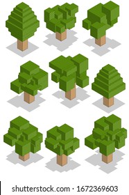 Set of trees. Isometric. Isolated on white background. Vector illustration.