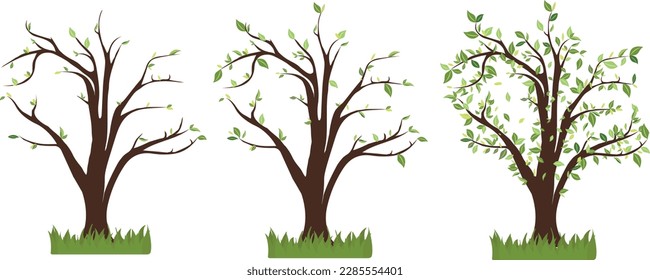 Set of trees with leaves changing seasons November vector illustration