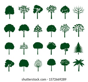 Set of Trees and Leaves. Vector Illustration. Collection of icons.