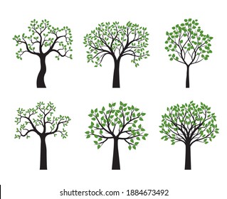 Set Trees and Leaves. Vector Illustration. Collection of icons.