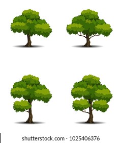 Set of trees on white background. Nature vector illustration.