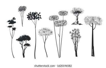 Set of trees on a white background. Elements of nature.