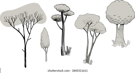 Conjunto de árboles sobre un fondo blanco. Elementos de la naturaleza.