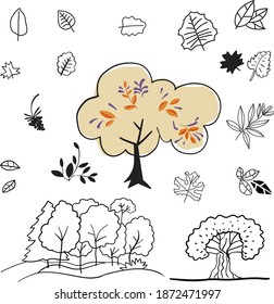 Set of trees on a white background. Elements of nature. Vector illustration. Vector illustration