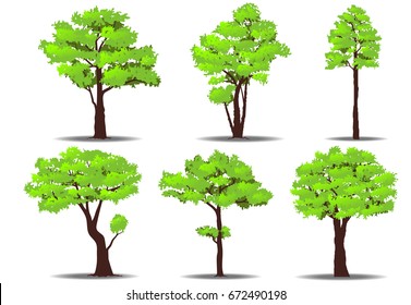 Set of trees on white background. Nature vector illustration.