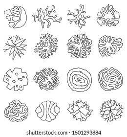 Set of trees outline icon in top view for landscape design. View from above. For architectural plans and technical drawings. Vector graphic.
