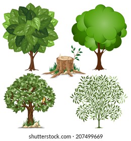 Set of trees pictured in different style and stump.