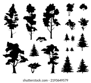 Set of trees and plants. Coniferous forest with firs and pines. For Landscape with trees and grass. Silhouette picture. Isolated on white background. Vector