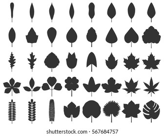 Set of trees and plants leaves  isolated on a white. Collection of black vector silhouettes. Template for ecology, environment, natural product design. Leaf icon - nature symbol.