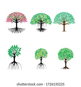 Set of trees and plants vector illustration. Isolated on white. Symbol of nature.  