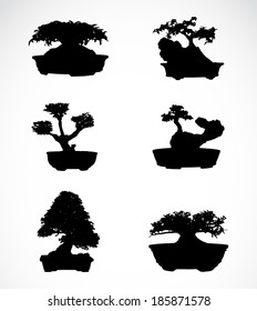 Set of trees in pots on white background 
