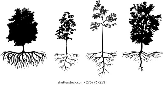 Set of trees with roots silhouettes. Black vector illustration of Horse Chestnut (Aesculus hippocastanum) and Rowan (Sorbus aucuparia) with root systems isolated on white
